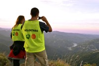 Torna il volontariato nel parco nazionale delle Foreste casentinesi