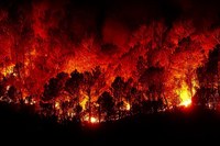 Ritorno alla fase di attenzione per gli incendi boschivi