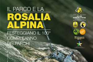 Cent'anni di aree protette in Italia