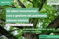 Come ci si prende cura dei giganti della natura: la Regione protagonista a Ecomondo il 10 novembre con la formazione sulla tutela degli alberi monumentali