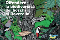 Difendiamo i boschi di Roverella