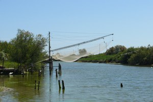Fermo pesca, sportiva e ricreativa, nei canali adduttori “Comprensorio Valli di Comacchio” per la tutela del novellame
