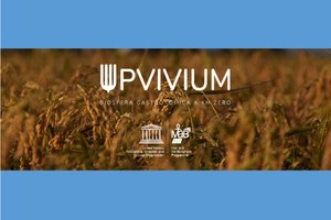 UPVIVUM: nuova edizione del concorso gastronomico