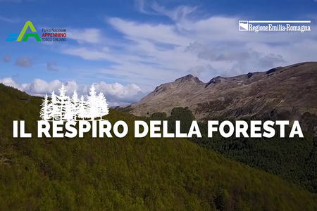 Emilia-Romagna, una terra da raccontare: è online lo speciale sui crediti di sostenibilità del Parco nazionale dell’Appennino Tosco-Emiliano