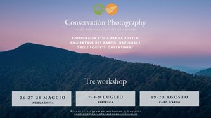 Tre workshop di "Conservation photography" nel parco nazionale delle Foreste casentinesi