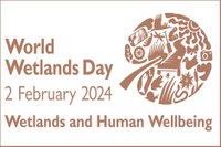 Il 2 febbraio è la Giornata mondiale delle zone umide