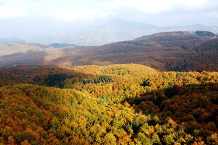Riconosciuta la gestione sostenibile delle foreste demaniali dell’Appennino Modenese