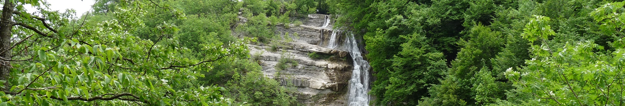 Immagine del Parco Nazionale Foreste Casentinesi 