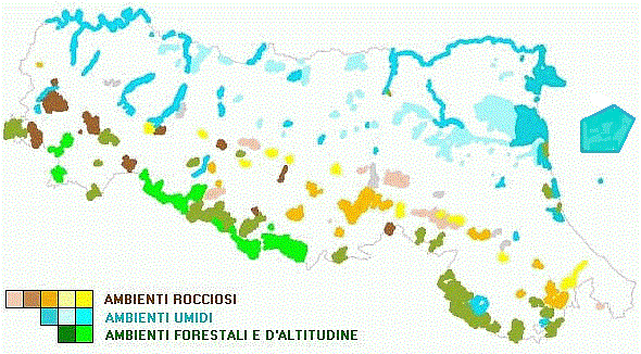 Rappresentazione schematica dei 153 siti di Rete Natura 2000 distinti in base al tipo ambientale prevalente: 68 acquatici (fluviali, d'acqua dolce o di ambienti salmastri, anche uno marino), 49 rocciosi (geositi ofiolitici, calcarenitici, carsico-gessosi, calanchivi o di terrazzo sabbioso) e 36 tra forestali di pregio o di prateria d'altitudine, quest'ultima prevalentemente su morfologie paleoglaciali. Sistema informativo del Servizio Parchi e Risorse forestali della Regione Emilia-Romagna