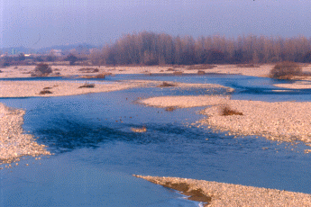 Alveo del Trebbia. Foto Angelo Battaglia, Provincia di Piacenza