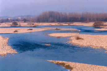 Alveo del Trebbia. Foto Angelo Battaglia, Provincia di Piacenza