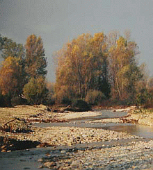 Il Torrente Termina a Cronovilla. Foto Cau De Santi, Comune di Traversetolo 2010