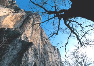 La rupe di Bismantova. Foto Giuliano Bianchini, archivio fotografico Appennino Reggiano IAT Castelnuovo ne' Monti RE