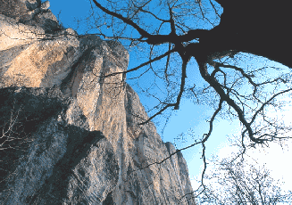 La rupe di Bismantova. Foto Giuliano Bianchini, archivio fotografico Appennino Reggiano IAT Castelnuovo ne' Monti RE