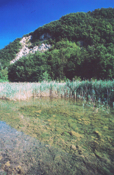 Fonti di Poiano. Foto Mario Vianelli, archivio Servizio Valorizzazione e Tutela del Paesaggio della Regione Emilia-Romagna