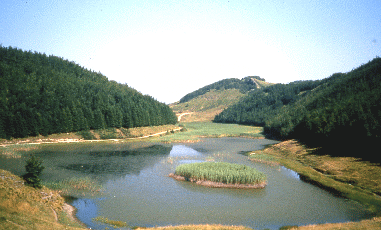 Il Lago Pratignano. Foto Guglielmo Stagni, Mostra e Catalogo Biodiversità in Emilia-Romagna 2003