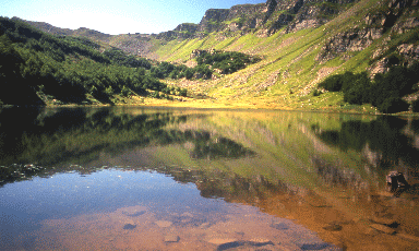 Il Lago Baccio verso la cresta del Monte Rondinaio. Foto Guglielmo Stagni, Mostra e Catalogo Biodiversità in Emilia-Romagna 2003