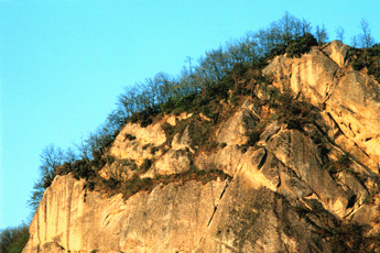 Rupe con cenge vegetate. Foto Maurizio Sirotti, Ecosistema - archivio Servizio Sistemi informativi geografici della Regione Emilia-Romagna