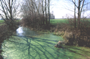 416 Canale con Lemna e vegetazione ripariale. Foto Luca Gilli, Mostra e Catalogo Biodiversità in Emilia-Romagna 2003 