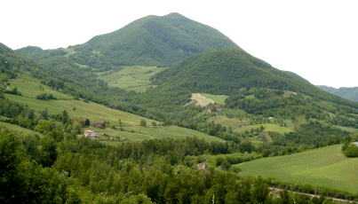 Monte Salvaro. Foto Roberto Tinarelli, Ecosistema, archivio personale