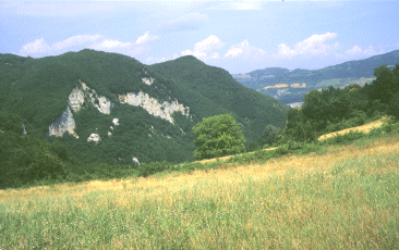Monte Sole. Foto Roberto Tinarelli, Ecosistema, archivio personale