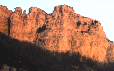 Versante ovest di Monte Adone. Mostra e Catalogo Biodiversità in Emilia-Romagna 2003