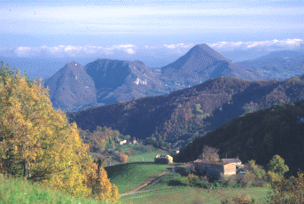 Montovolo e Monte Vigese. Foto Mario Vianelli, archivio Servizio Valorizzazione e Tutela del Paesaggio della Regione Emilia-Romagna