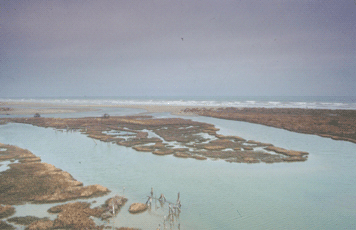 Foce del Canale di Bellocchio. Foto Mario Vianelli, archivio Servizio Valorizzazione e Tutela del Paesaggio della Regione Emilia-Romagna