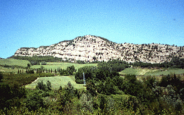 Falesia gessosa in versante sud. Foto Luca Martelli, Mostra e Catalogo Biodiversità in Emilia-Romagna 2003