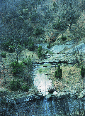 Aggruppamenti arbustivi con Ginepro comune. Foto Stefano Bassi, Catalogo Cheilanthes Viaggio botanico in Val Sintria 2004
