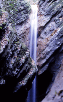 Cascata sul Rio Albonello. Foto Stefano Bassi, archivio personale