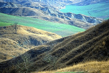 Seminativi e incolti in ambiente argilloso. Foto Ivano Togni, Mostra e Catalogo Biodiversità in Emilia-Romagna 2003