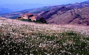 814 Ambiente rurale collinare romagnolo. Foto Ivano Togni, Mostra e Catalogo Biodiversità in Emilia-Romagna 2003