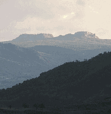 906 Le cime tabulari dei Sassi Simone e Simoncello dominano l'altipiano della Cantoniera e tutto il paesaggio dell'Alta Valmarecchia. Foto Sandro Bassi