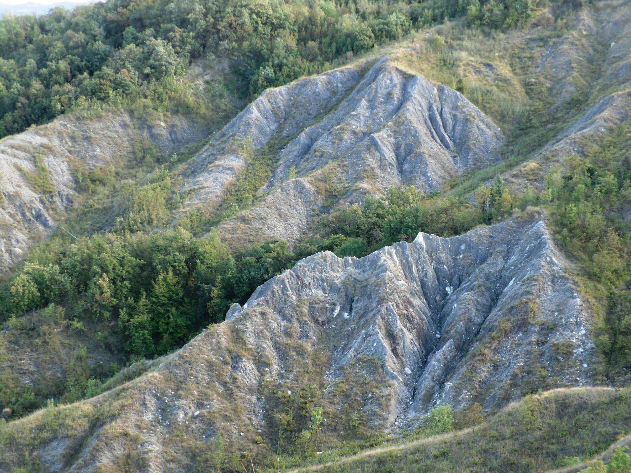 Ambienti xerici su argille scagliose (foto di Stefano Bassi, Regione Emilia-Romagna)