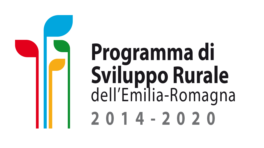 Logo PSR