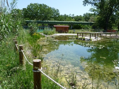 Foto: Vasche/laghetti confinamento