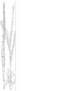 Dactylorhiza praetermissa