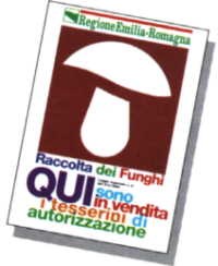 Borsa Raccolta Funghi In Rete - Zaino Traspirante Regolabile Per Bosco E Frutteto