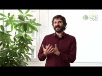 LIFE CO2 PES&PEF | Obiettivi - Intervista Prof. Giorgio Vacchiano | Novembre 2023