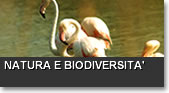 Natura e biodiversità