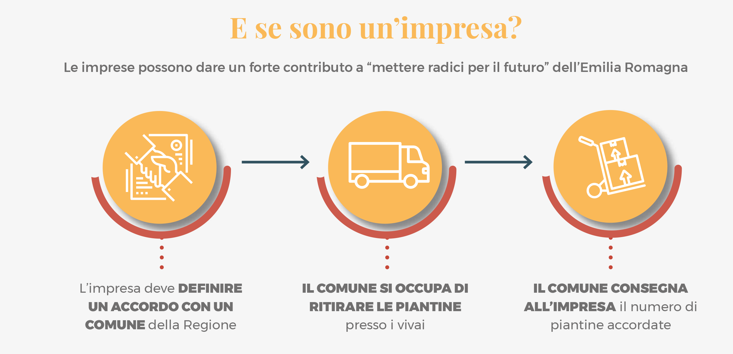 Grafica di spiegazione del progetto: l'impresa deve definire un accordo con un comune della Regione; il Comune si occupa di ritirare le piante presso i vivai e consegna all'impresa il numero di alberi concordato