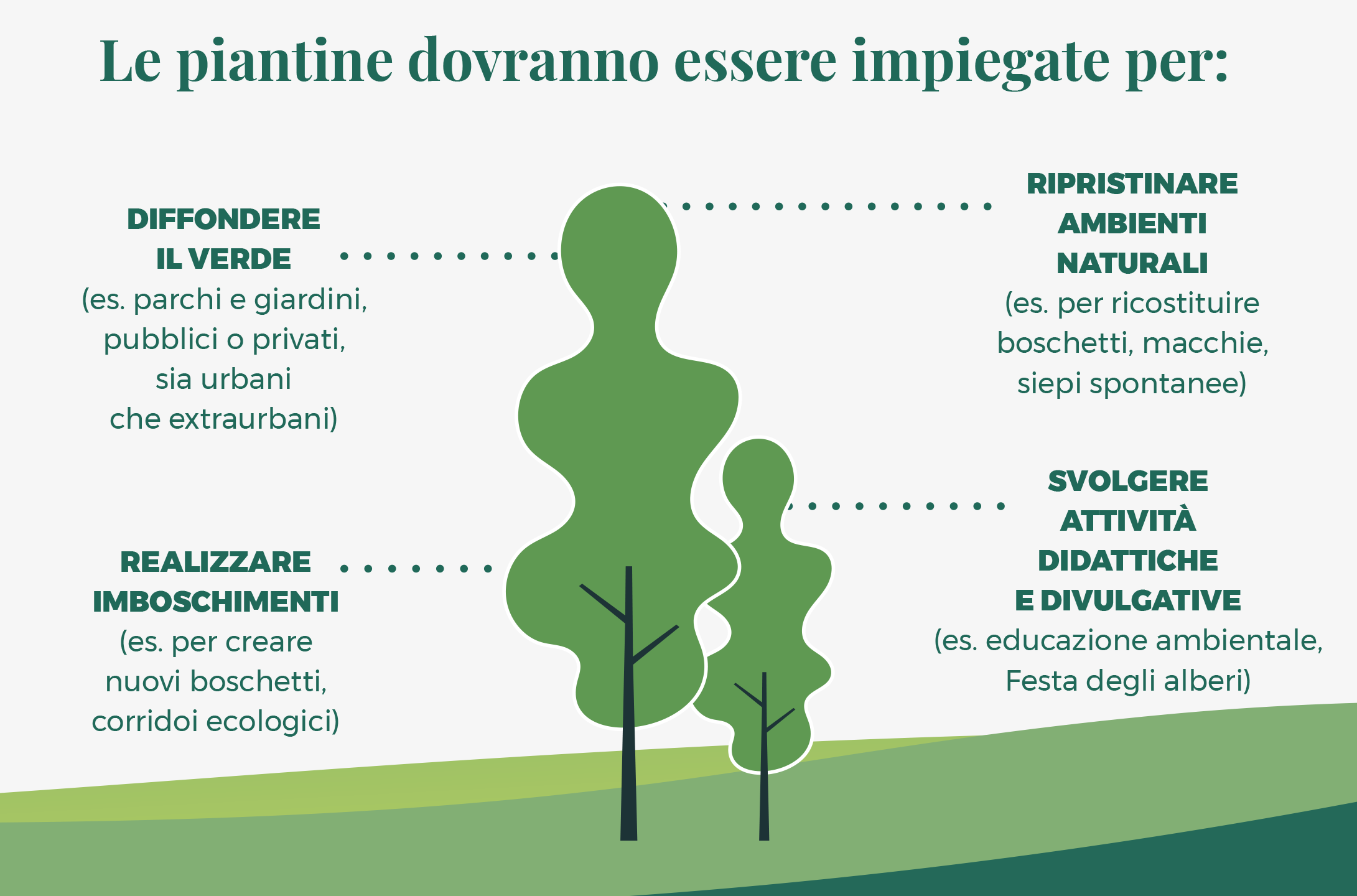 Grafica illustrativa degli scopi delle piante: diffondere il verde, ripristinare ambienti naturali, realizzare imboschimenti, svolgere attività didattiche e divulgative