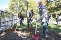 In Emilia-Romagna 4,5 milioni di nuovi alberi: dall'1^ ottobre via alla distribuzione gratis dei primi 500mila da piantare