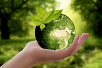 Il 22 aprile è la Giornata Mondiale della Terra. L’impegno della Regione per la riforestazione
