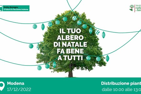 Distribuzione alberi a Modena il 17 dicembre 2022 - Progetto Mettiamo Radici per il Futuro