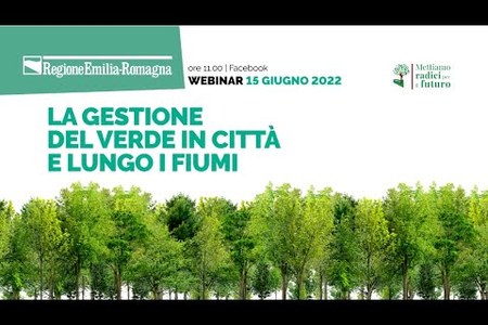 Webinar "La gestione del verde in città" | 15.06.2022 | Mettiamo radici per il futuro