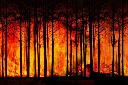 Catasto incendi boschivi