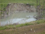 fiume Lamone erosione 